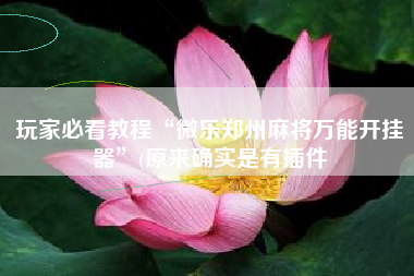 玩家必看教程“微乐郑州麻将万能开挂器”(原来确实是有插件 玩家必看教程“微乐郑州麻将万能开挂器”(原来确实是有插件