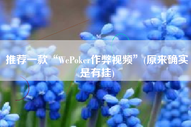 推荐一款“WePoker作弊视频”(原来确实是有挂)