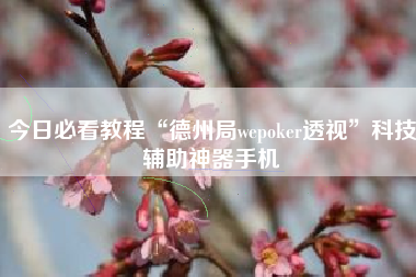 今日必看教程“德州局wepoker透视”科技辅助神器手机