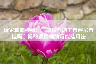 玩家辅助神器：“微乐斗地主自建房有挂吗”揭秘透视辅助万能挂用法