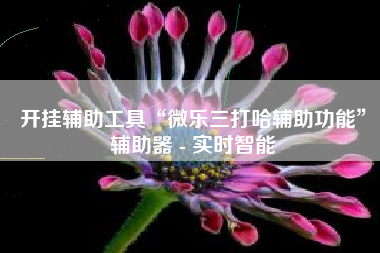 开挂辅助工具“微乐三打哈辅助功能”辅助器 - 实时智能