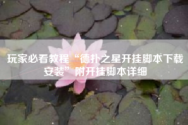 玩家必看教程“德扑之星开挂脚本下载安装”附开挂脚本详细