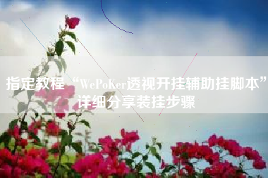 指定教程“WePoKer透视开挂辅助挂脚本”详细分享装挂步骤