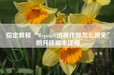 指定教程“Wepoker透视作弊怎么避免”附开挂脚本详细
