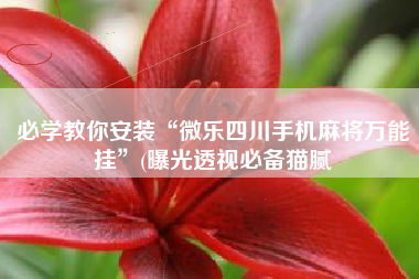 必学教你安装“微乐四川手机麻将万能挂”(曝光透视必备猫腻