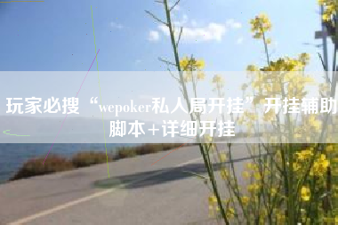 玩家必搜“wepoker私人局开挂”开挂辅助脚本+详细开挂