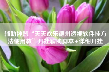 辅助神器“天天欢乐德州透视软件挂方法使用教”开挂辅助脚本+详细开挂