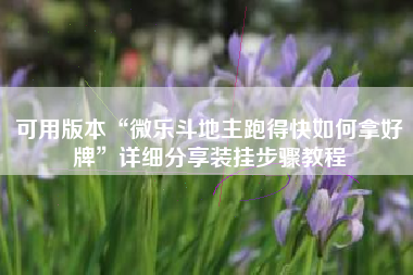 可用版本“微乐斗地主跑得快如何拿好牌”详细分享装挂步骤教程