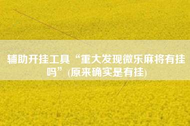 辅助开挂工具“重大发现微乐麻将有挂吗”(原来确实是有挂)