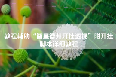 教程辅助“智星德州开挂透视”附开挂脚本详细教程