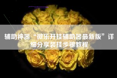 辅助神器“微乐开挂辅助器最新版”详细分享装挂步骤教程