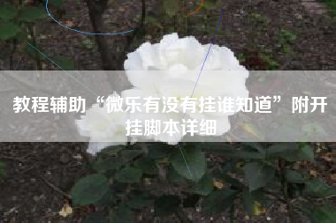 教程辅助“微乐有没有挂谁知道”附开挂脚本详细 教程辅助“微乐有没有挂谁知道”附开挂脚本详细