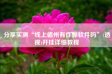 分享实测“线上德州有作弊软件吗”(透视)开挂详细教程