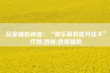 玩家辅助神器：“微乐麻将能开挂不”作弊(透视)透视辅助