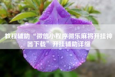 教程辅助“微信小程序微乐麻将开挂神器下载”开挂辅助详细