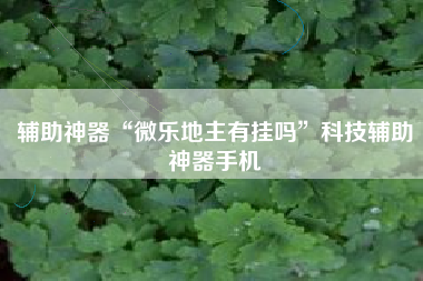辅助神器“微乐地主有挂吗”科技辅助神器手机