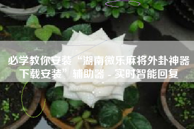 必学教你安装“湖南微乐麻将外卦神器下载安装”辅助器 - 实时智能回复 必学教你安装“湖南微乐麻将外卦神器下载安装”辅助器 - 实时智能回复