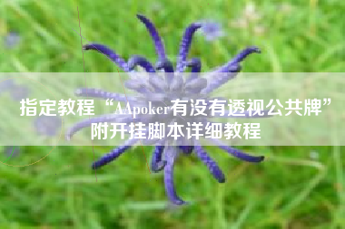 指定教程“AApoker有没有透视公共牌”附开挂脚本详细教程