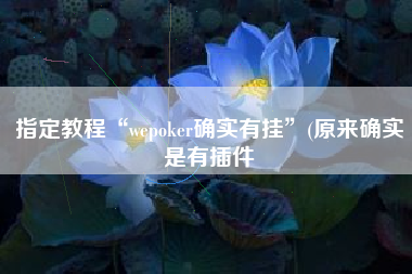 指定教程“wepoker确实有挂”(原来确实是有插件