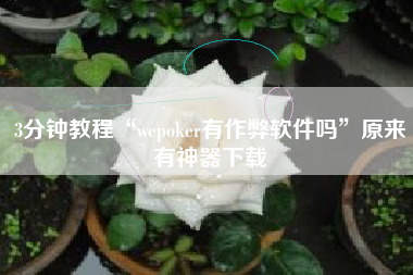 3分钟教程“wepoker有作弊软件吗”原来有神器下载