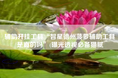 辅助开挂工具“智星德州菠萝辅助工具是真的吗”(曝光透视必备猫腻 辅助开挂工具“智星德州菠萝辅助工具是真的吗”(曝光透视必备猫腻