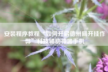 安装程序教程“如何开启德州局开挂作弊”科技辅助神器手机