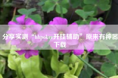 分享实测“hhpoker开挂辅助”原来有神器下载