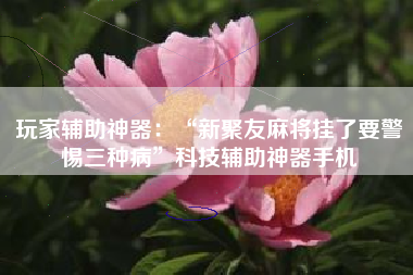 玩家辅助神器：“新聚友麻将挂了要警惕三种病”科技辅助神器手机