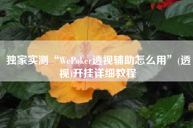独家实测“WePoker透视辅助怎么用”(透视)开挂详细教程