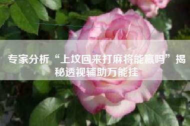 专家分析“上坟回来打麻将能赢吗”揭秘透视辅助万能挂