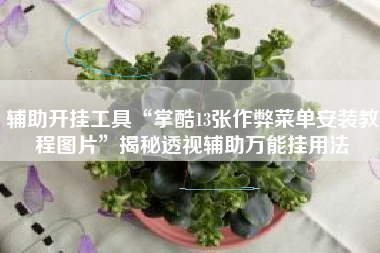 辅助开挂工具“掌酷13张作弊菜单安装教程图片”揭秘透视辅助万能挂用法