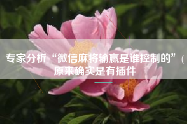 专家分析“微信麻将输赢是谁控制的”(原来确实是有插件 专家分析“微信麻将输赢是谁控制的”(原来确实是有插件