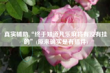 真实辅助“终于知道凡乐麻将有没有挂的”(原来确实是有插件) 真实辅助“终于知道凡乐麻将有没有挂的”(原来确实是有插件)