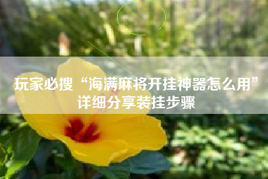 玩家必搜“海满麻将开挂神器怎么用”详细分享装挂步骤