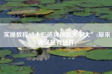 实操教程“十三道牌输赢大不大”(原来确实是有插件) 实操教程“十三道牌输赢大不大”(原来确实是有插件)