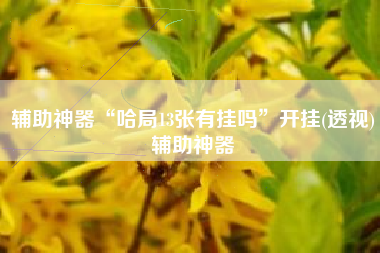 辅助神器“哈局13张有挂吗”开挂(透视)辅助神器