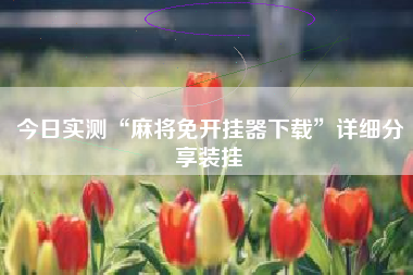 今日实测“麻将免开挂器下载”详细分享装挂 今日实测“麻将免开挂器下载”详细分享装挂