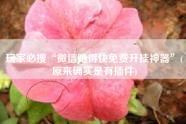 玩家必搜“微信跑得快免费开挂神器”(原来确实是有插件)