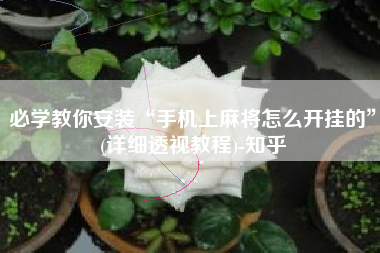 必学教你安装“手机上麻将怎么开挂的”(详细透视教程)-知乎