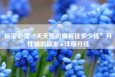 玩家必读“天天贵阳麻将挂多少钱”开挂辅助脚本+详细开挂