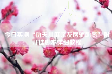 今日实测“功夫川麻亲友房辅助器”附开挂脚本详细教程