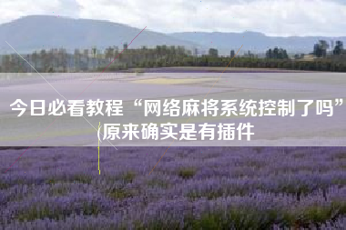 今日必看教程“网络麻将系统控制了吗”(原来确实是有插件