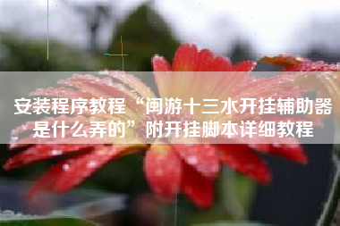 安装程序教程“闽游十三水开挂辅助器是什么弄的”附开挂脚本详细教程