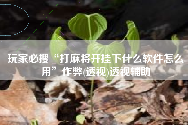 玩家必搜“打麻将开挂下什么软件怎么用”作弊(透视)透视辅助 玩家必搜“打麻将开挂下什么软件怎么用”作弊(透视)透视辅助