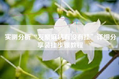 实测分析“友聚麻将有没有挂”详细分享装挂步骤教程