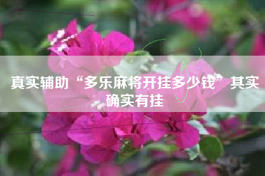 真实辅助“多乐麻将开挂多少钱”其实确实有挂 真实辅助“多乐麻将开挂多少钱”其实确实有挂