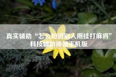 真实辅助“怎么知道别人用挂打麻将”科技辅助神器手机版 真实辅助“怎么知道别人用挂打麻将”科技辅助神器手机版