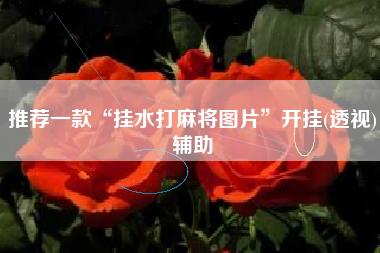 推荐一款“挂水打麻将图片”开挂(透视)辅助