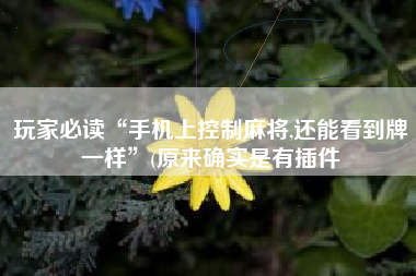 玩家必读“手机上控制麻将,还能看到牌一样”(原来确实是有插件