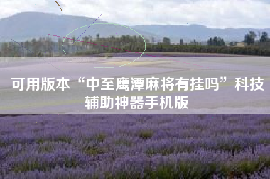 可用版本“中至鹰潭麻将有挂吗”科技辅助神器手机版